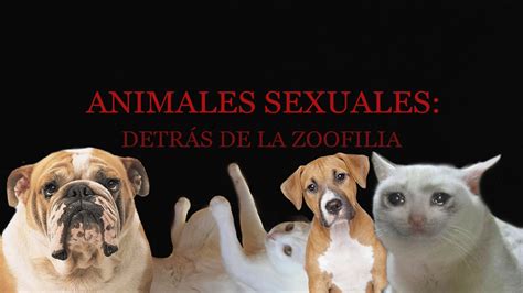 los mejores videos de zoofilia